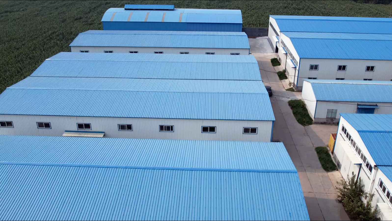 Air Compressor Oil Separator Manufacturer