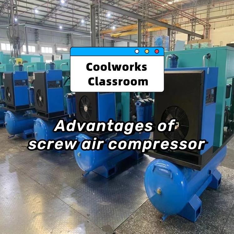 Introduction of screw air compressor --4